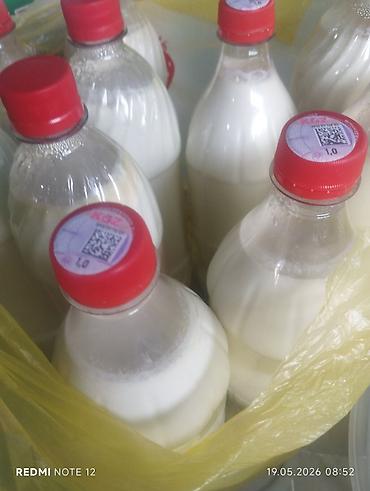 Дом и сад: Домашние натуральные продукты - Молоко коровье, разлито в пластиковые — 2