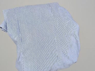 fsbn jacket: Wibs, Koszula damska, rozmiar 4XL — 6