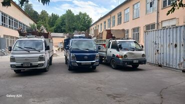 золотистая шиншилла: Портер такси🗑🚖 Портер такси🗑🚖 Портер такси🗑🚖 Портер такси🗑🚖 Портер