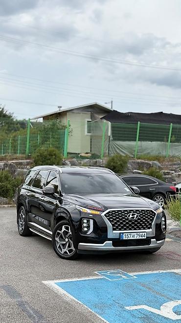 hyndai creta: Hyundai Palisade: 2021 г. — 1