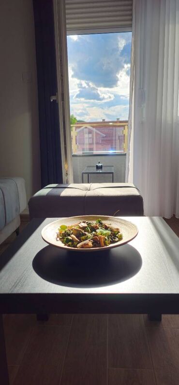 Turizam i odmor: Cera luxe studio 1 i 2 Sokobanja. za goste istančanog ukusa. strogi — 10