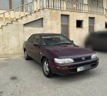 corolla: Toyota Corolla: 1.6 l | 1997 il Sedan