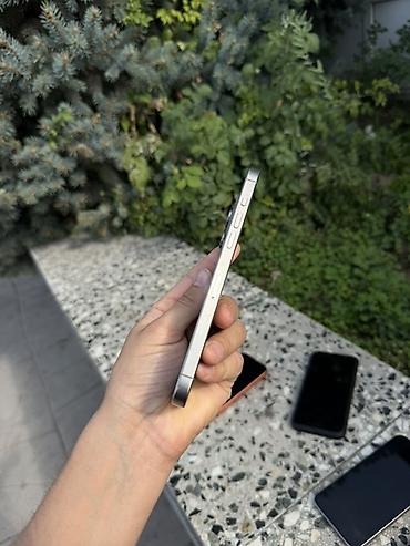 Apple iPhone: IPhone 14 Pro Max, цвет Silver (серебристый) - Корпус из матового — 3