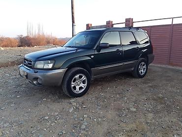 Subaru: Subaru Forester: 2005 г., 2 л, Автомат, Газ, Универсал — 6