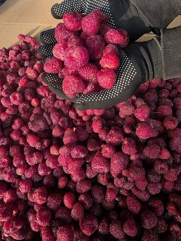 Клубника: Клубника — 12