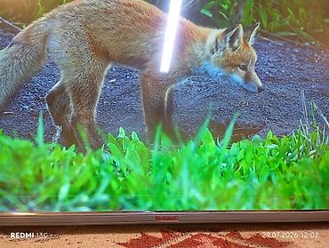 samsung nu7090 55: Shivaki WebOS TV SMART (YOUTUBE,NETFLIX.) — 2