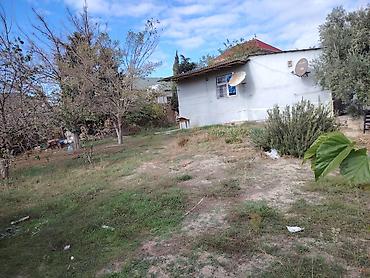 Həyət evləri və villaların satışı: NOVXANL BAĞLARI DƏNİZ KƏNARI 12 DAŞ KÜRSÜLÜ QİYMƏTDƏ ENDİRİM OLUNACAQ — 15