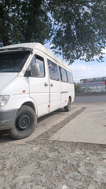 шины сешка на спринтер: Автобус, Mercedes-Benz