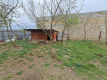 bayilda kiraye evler 2018: 5 комнат, 150 м², Нет кредита, Свежий ремонт — 3