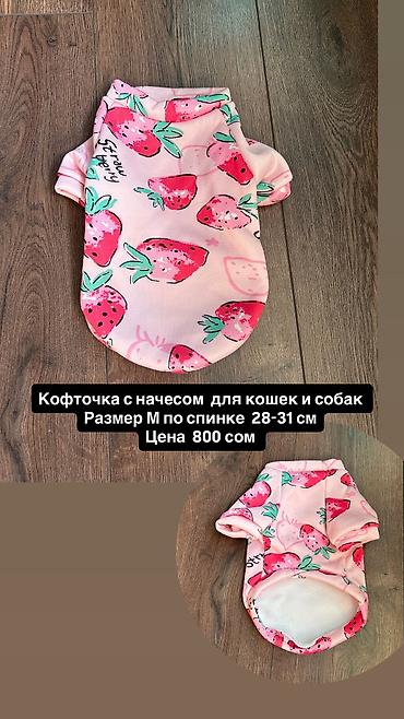 Зоотовары: Одежда для собак и кошек, большой выбор Все НОВОЕ РАЗМЕР И ЦЕНА — 18