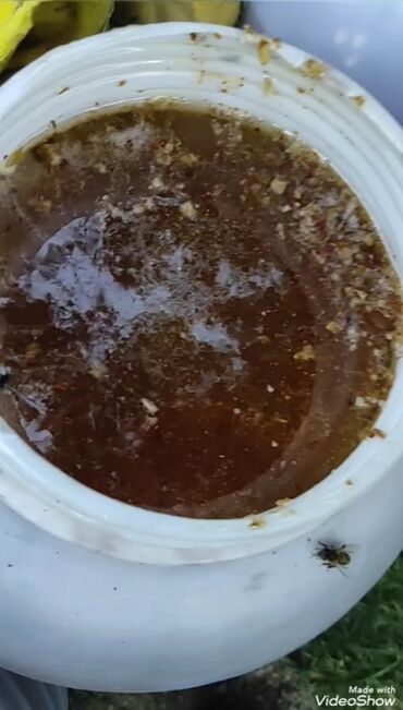 Мёд: Токтогульский мед,100℅чистый 1л-750сом 1бачок-15000т — 4