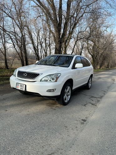 Lexus: Lexus RX: 2004 г., 3.3 л, Автомат, Бензин, Кроссовер