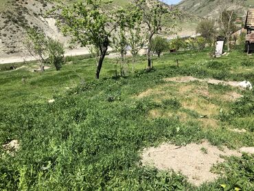 Torpaq sahələrinin satışı: 30 sot, Kənd təsərrüfatı, Mülkiyyətçi, Kupça (Çıxarış) -da lalafo.az — 16 Torpaq sahələrinin satışı: 30 sot, Kənd təsərrüfatı, Mülkiyyətçi, Kupça (Çıxarış) — 16