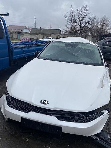 x5 2016: Kia K5: 2020 г., 2 л, Автомат, Газ, Седан — 2