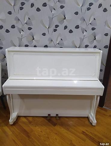 пианино купить баку: Təcili piano satılır. Uyğun qiymətə ideal vəziyyətdə köklənmiş pionina — 1