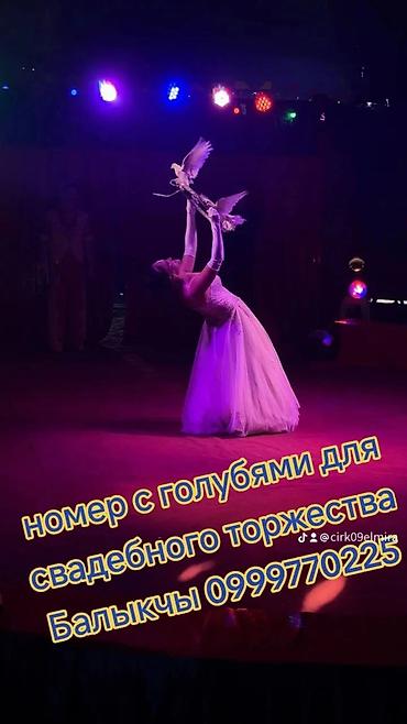 Организация мероприятий: Организация мероприятий | Аниматоры — 6