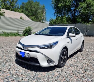Toyota: Toyota Corolla: 2018 г., 1.8 л, Автомат, Гибрид