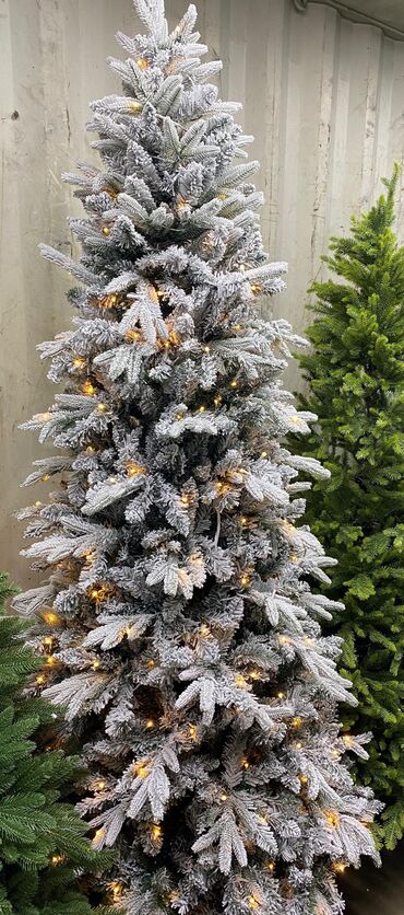 Ёлки: Елки белоснежные елки литые елки пышные елки Идут продажи at lalafo.kg — 9 Ёлки: Елки белоснежные елки литые елки пышные елки Идут продажи — 9