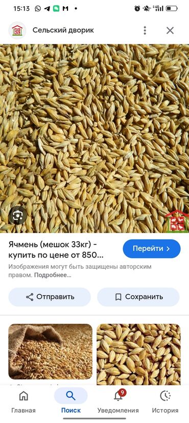 мёд цена за 1 кг бишкек: Уруктар: Арпа