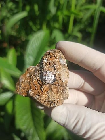 cib saatı: Milyon İllik Tarixi Fosil 💎 Daşlaşmış Ağac ( Petrified Wood ) 🪵 ✨ Bu — 2