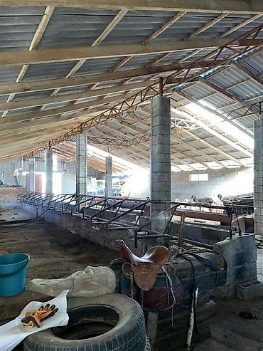 Продажа коттеджей и домов: 🏡 ЭТО НЕ ПРОСТО ДОМ… ЭТО МЕСТО, ГДЕ ХОЧЕТСЯ ЖИТЬ И НАСЛАЖДАТЬСЯ КАЖДЫМ — 28