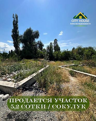 участок иссык кол: 5 соток, Для строительства, Договор купли-продажи, Красная книга — 1