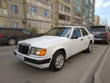 Mercedes-Benz: Mercedes-Benz 230: 1991 г., 2.3 л, Механика, Бензин, Седан