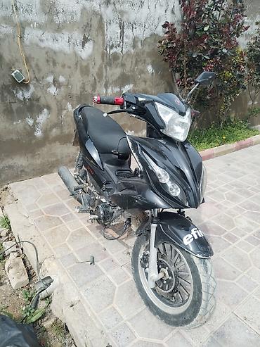 paneler: Barter var ÖZ DƏYƏRİNDƏ XİRDA BUYNUZLU HEYVANLAVA DİGƏR MARAGLİ — 1
