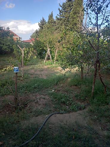 Torpaq satilir.senedi kupcadir.uzerinde el evi de var. su saygaci ve