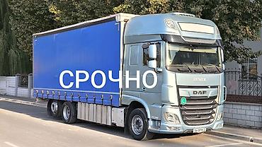 DAF XF480. Тандем (одиночка). 2020год. В полной комплектации. Камера