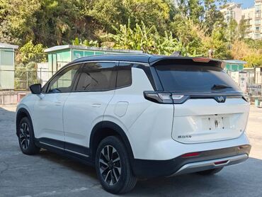 Weltmeister: Weltmeister W6, 2021 г., На заказ — 7