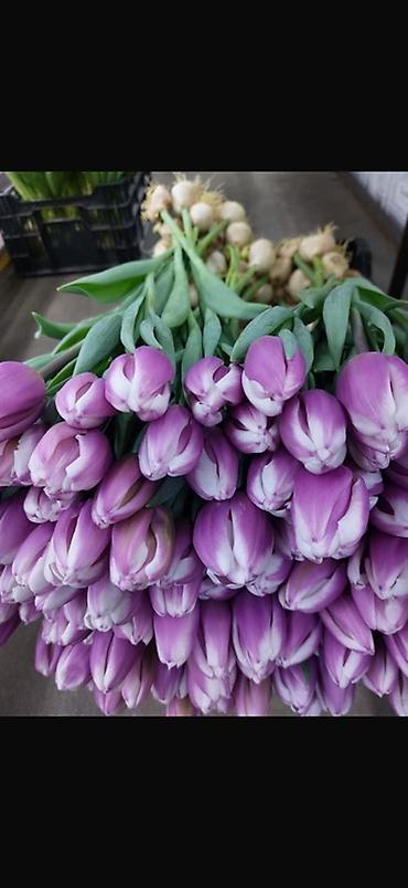 Букеты из живых цветов: ‼️‼️‼️‼️ успейте заказывать тюльпаны по оптовой цене Ассортимент: - — 3