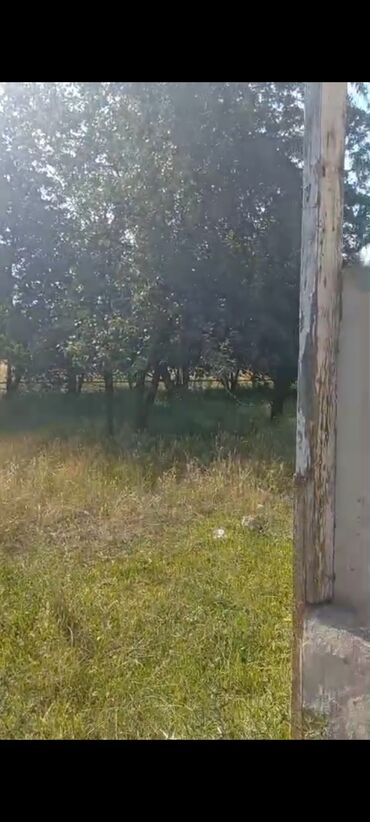 asma tavan metbex ucun: Agstafa rayon Dagkesemen kendinde 20 sot torpaqin icinde 2 otag 1