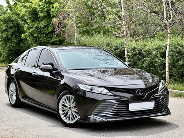 naushniki bezprovodnye jbl: Toyota Camry: 2019 г., 2.5 л, Автомат, Бензин, Седан