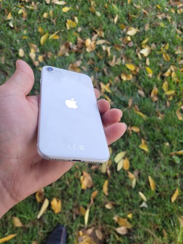 Apple iPhone: IPhone SE, 128 GB, Ağ, Barmaq izi -da lalafo.az — 13 Apple iPhone: IPhone SE, 128 GB, Ağ, Barmaq izi — 13