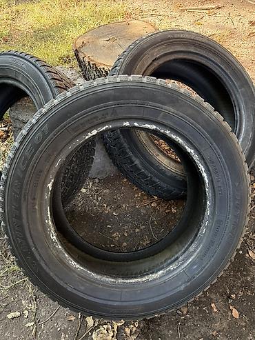 Шины: Комплект зимних шин Dunlop Winter— 3 штуки. - Тип: зимние — 3