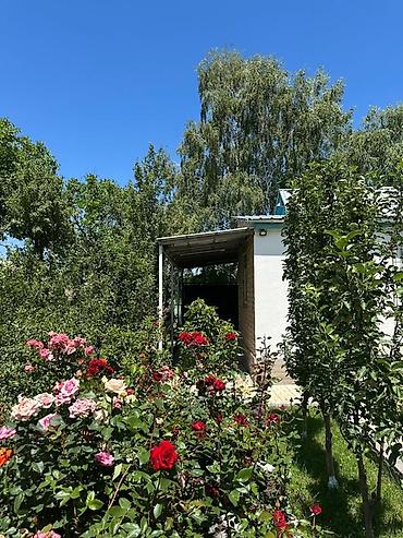 Продажа дачи: Продается дача в Кашка суу в СТ «Наука» Участок 6 соток красная книга — 12