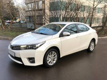 tayota carolla: Toyota Corolla: 1.6 l | 2014 il Sedan