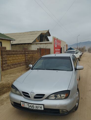 ниссан грузовой: Nissan Primera: 2000 г., 1.8 л, Механика, Бензин, Седан