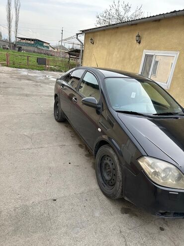 ниссан чери: Nissan Primera: 2006 г., 1.8 л, Механика, Бензин, Седан