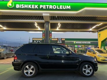 изготовление порогов на авто: BMW X5: 2003 г., 3 л, Автомат, Дизель, Кроссовер
