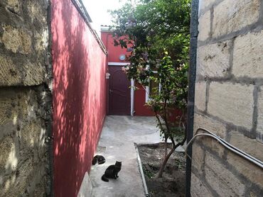 Bağ evlərinin kirayəsi: Həzi Aslanov qəs., 100 kv. m, 3 otaqlı — 9