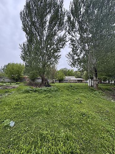 земля в токмоке: 11 соток, Для строительства, Договор купли-продажи, Красная книга, Тех паспорт — 8