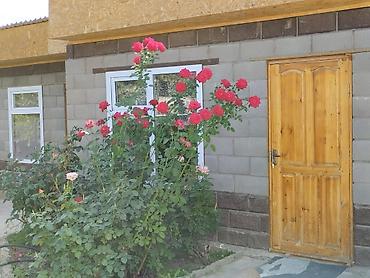 5: Срочно продается дом в г. Балыкчы. Участок 6 соток, 4 комнаты+холл — 9