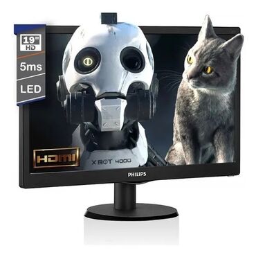 Мониторы: Монитор, Philips, LED, 18" - 19"