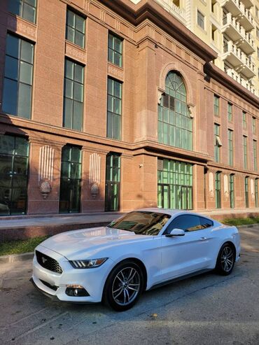 Digər avto xidmətlər: 2018-ci il Mustang. Toy, Nişan və digər tədbirlər üçün sifariş edə — 4