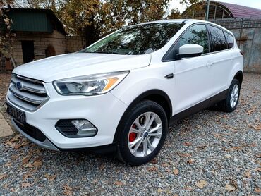 Ford: Ford Escape: 1.5 l | 2019 il 175400 km Ofrouder/SUV