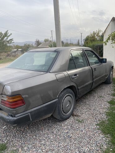 авто для охоты: Mercedes-Benz W124: 1989 г., 3 л, Механика, Дизель, Седан