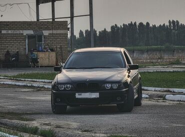 каракол бмв: BMW 5 series: 1996 г., 2.8 л, Механика, Бензин, Седан