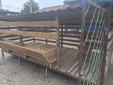 гисар кой: Продаю | Овца (самка), Ягненок, Баран (самец) | Гиссарская, Полукровка, Эдильбаевская | На забой, Для разведения, Для шерсти | Ярка, Ягнившаяся, Племенные — 5